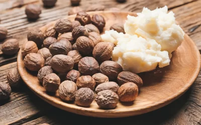 Benefits of Shea Butter and Why It Should Be Used During a Massage