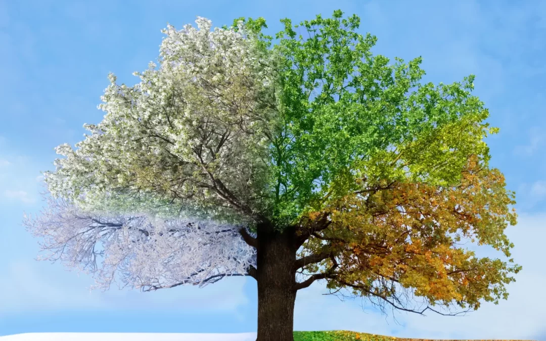 massage for different seasons